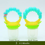 Fresh FFruit Nibbler Baby Pacifiers Feeder