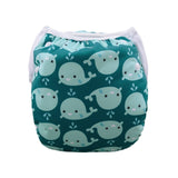 Alva Reusable and Washable Baby Swimming Diaper Swimming Nappy